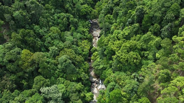 Top-down view of Suhom river in tropical forest of green rainforest in Aceh province, Indonesia.