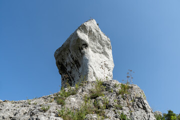 Limestone rocks near Ogrodzieniec medieval ruined castle in Podzamcze, Ogrodzieniec, Poland. Part of Trail of the Eagles' Nests.