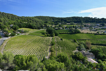 Fototapeta na wymiar Magnificent view of the countryside and vineyard around the hill of the village of 