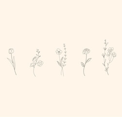Hand drawn vector line art floral set for decoration and wedding