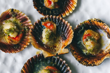 Grilled scallops with olive oil, garlic and parsley. Galician style of scallop dish (Vieira). Typical Zamburiñas dish from Galicia, spain, Delicious Spanish tapas food