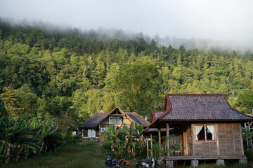 house in the woods in village in tropical city, jungle, fog