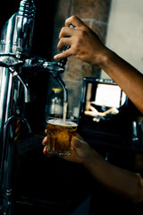 Fototapeta na wymiar Hand serving beer in glass using tap. Bartender pouring beer while standing at bar counter. Barman hand at beer tap pouring an draught beer.