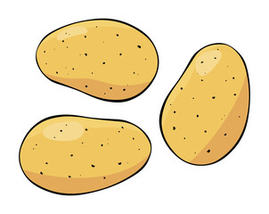 Colorful potatoes with black contour on white background