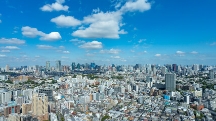 Obraz premium 東京風景