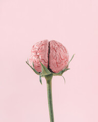 Rose stem and human brain on isolated pastel coral-pink background. Abstract scary idea for...