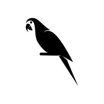 simple parrot logo
