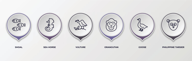 infographic template with outline icons. infographic for animals concept. included shoal, sea horse, vulture, orangutan, goose, philippine tarsier editable vector. © IconArt