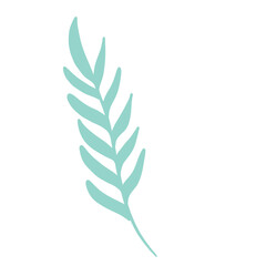 florals and leaves for decoration 
