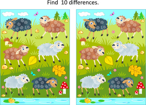 Difference game with sheep grazing at the pasture

