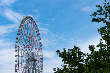青空の下で森の中に立つ観覧車