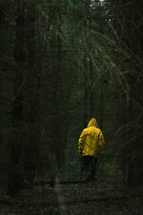 Spacer w mrocznym lesie 
