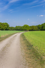 Fototapeta na wymiar Dirt road in the landscape of Overijssel, Netherlands