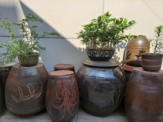 Korean ethnic earthenware in the house garden - earthen jars Jangdokdae