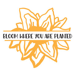 Sunflower hand lettering illustration for your design