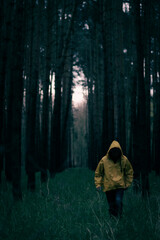 Postać w mrocznym lesie