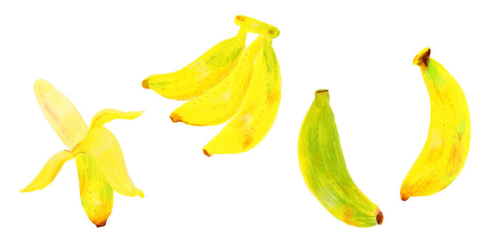 色鉛筆で描いたフルーツのバナナのイラストセット