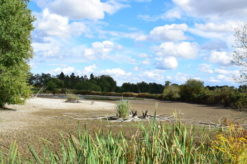 Fototapeta na wymiar ausgetrockneter Sumpfsee