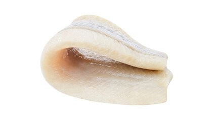 Herring, fillet folded in half, bent, isolated on white background with clipping path, element of...