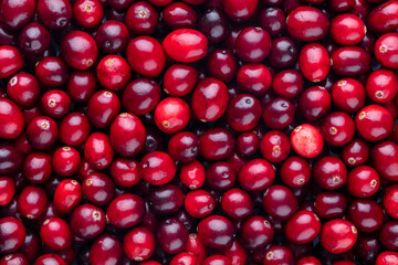 Cranberry bio background, food background.