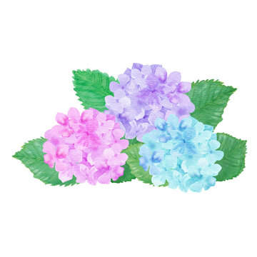 花弁6枚 の画像 1 106 件の Stock 写真 ベクターおよびビデオ Adobe Stock