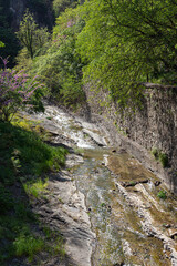The river flows in the Leghvtakhevi canyon in the botanical garden of the city of Tbilisi. Georgia country