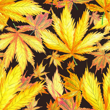 Watercolor pattern yellow autumn leaf of hemp plant on dark background for your seamless design, hand drawn illustration
