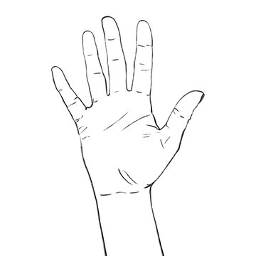 Sketch hand, palm turned up, open gesture, concept illustration