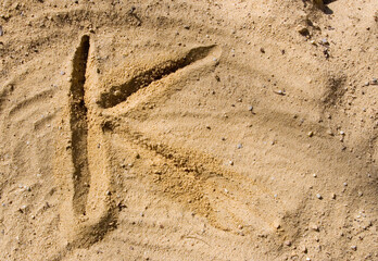 footprint in sand