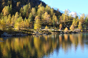 autumn landscape of Lake Arpy of Aosta, Italy 