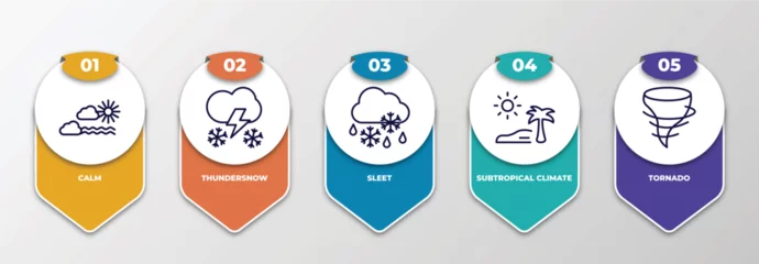 Fotobehang infographic template with thin line icons. infographic for weather concept. included calm, thundersnow, sleet, subtropical climate, tornado editable vector. © IconArt