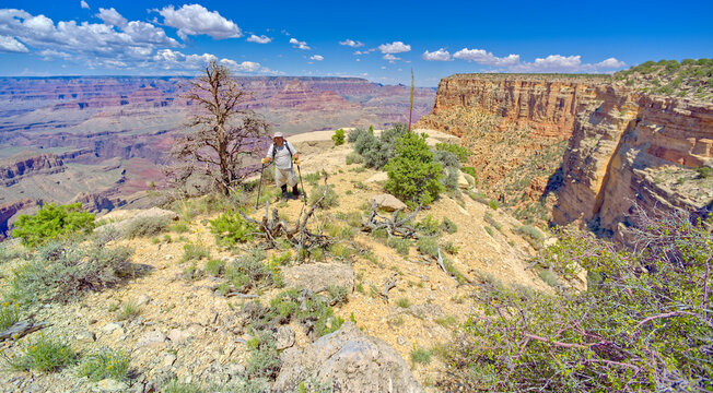 Man hiking between Moran Point and Zuni Point, Grand Canyon National Park, Arizona, USA