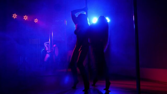 Two sexy women with long hair dance together near a pole in the dark under the light of multi-colored spotlights in a night club.