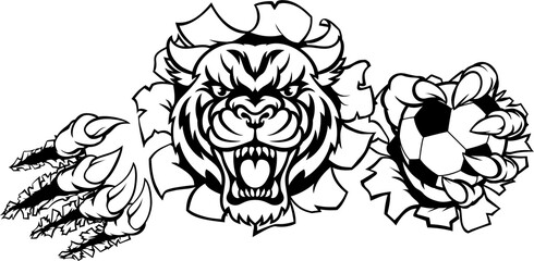 Tiger Holding Soccer Ball Breaking Background