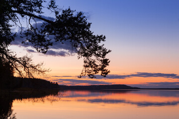 Sunset landscape with pine branch and colorful clouds reflecting in still lake water Karelia Russia