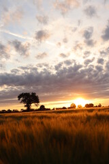 Naklejka premium Beautiful sunset with orange and yellow clouds
