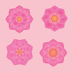 Lotus flower  vector set elements  Pink lotus lily flowers for design  Mid Autumn Festival