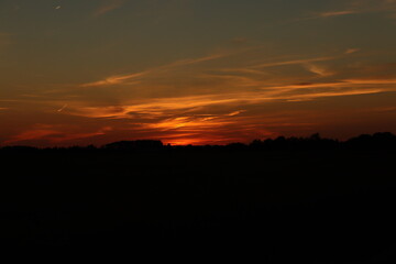 Fototapeta premium Sunset with plants in the foreground