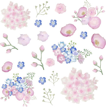 flowers floral stickers hydrangea watercolor vector
