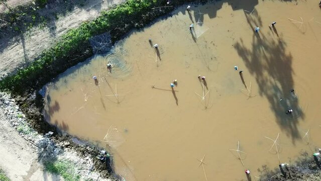 Aerial view of Thai farmer using fish trap for catching fish in natural pool in rural Thailand.