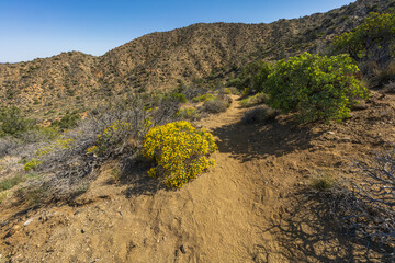 hiking the west side loop trail in black rock canyon, joshua tree national park, usa