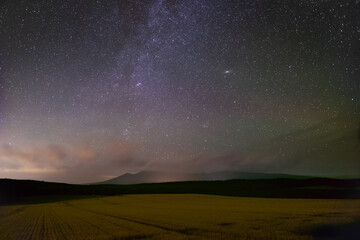 Fototapeta premium 麦秋の丘