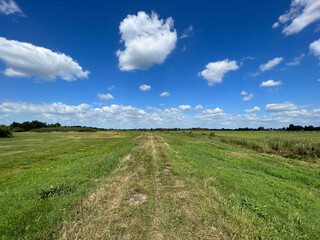 Fototapeta na wymiar Grassland around Rohel in Friesland