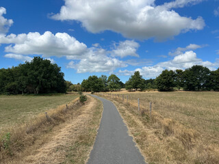 Fototapeta na wymiar Bicycle path around Hemelum in Friesland