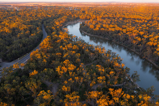 Aerial view of a river winding through a forest highlighted by late afternoon lighting