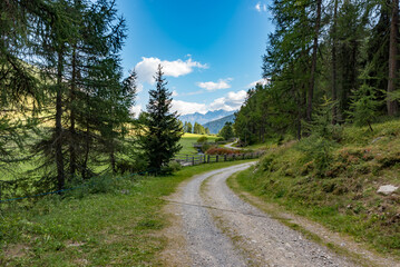 Fototapeta premium Mountain trail South Tyrol Italy