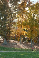 Fototapeta premium Fall in Chattanooga