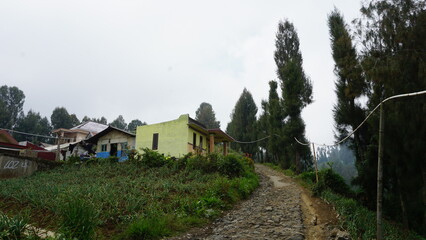 country road with views to the left and right full of vegetable farms