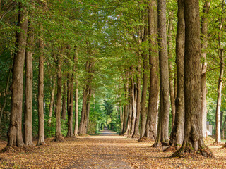 Wasserburg Gemen im Münsterland