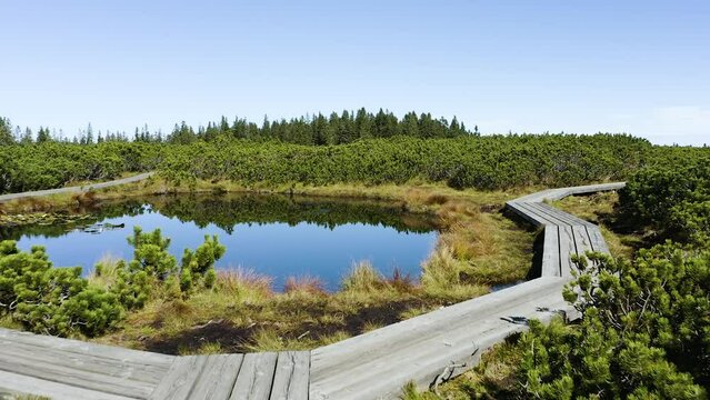 Hiking Trail Made of Wooden Planks. Revealing the Famous Swampy Black Lovrenska Lake. Marsh Surrounded With Small Dwarf Pines With Coniferous Forest in the Background. Water Reflection of Sky. Rogla.
